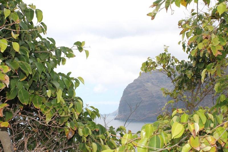 Seaview Lägenhet Acantilado de los Gigantes Exteriör bild